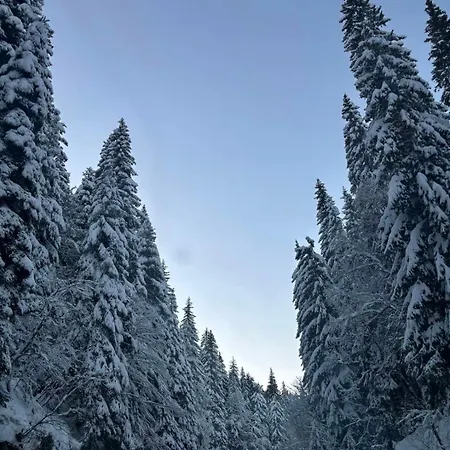 Apartamento Ski-in